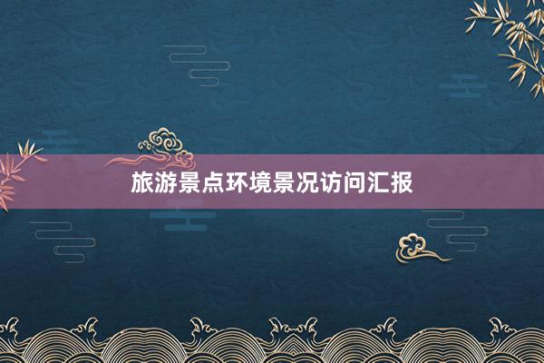 旅游景点环境景况访问汇报
